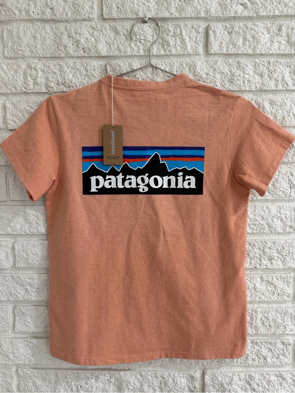 Patagonia Peach Women’s Short-Sleeve Logo Tee with Multicolor Stripe